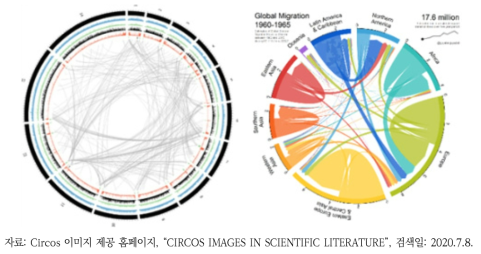 Chord Diagram의 다양한 적용 예시