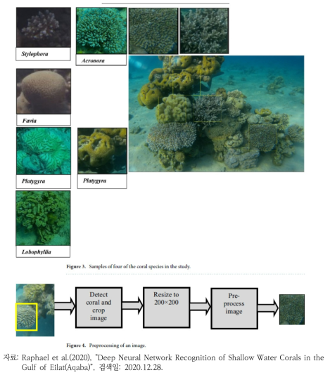 산호초 이미지 분류 절차도