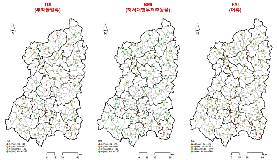 낙동강 대권역 수생태(biological condition) 평가 자료