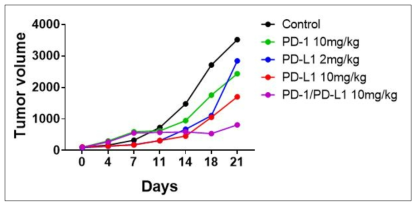 PD-1항체와 PD-L1 항체의 병용처치에 대한 in vivo 항암 효과