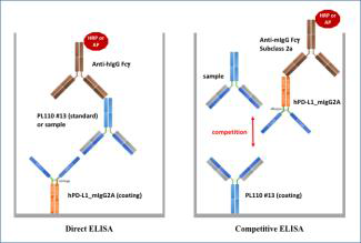 Direct ELISA방법과 농도를 알고 있는 KL001-13 항체와의 Competition을 이용한 indirect ELISA 방법의 개요