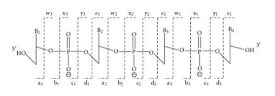 Nomenclature of oligonucleotide fragments potentially obtained by tandem mass spectrometry