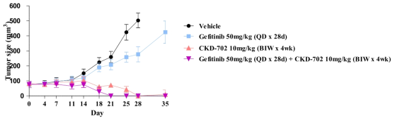 HCC827/GR xenograft model에서 CKD-702와 Gefitinib의 병용효과