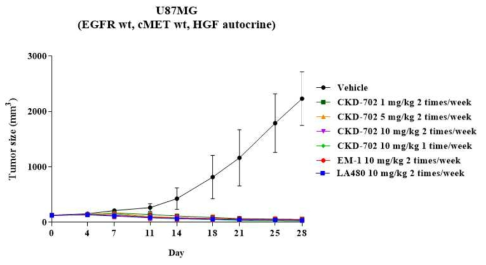 U87MG xenograft model에서 CKD-702와 대조약의 항암효과