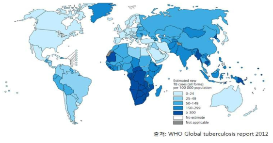 결핵의 세계적 분포 현황