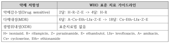 WHO 결핵 치료 가이드라인