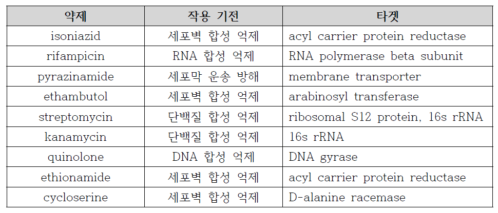 현재 주로 사용되는 결핵 치료제와 그의 작용 기전