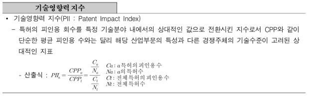 기술영향력 지수(PII : Patent Impact Index)