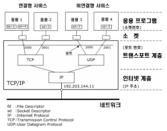 프로그램과 소켓, TCP/IP의 관계