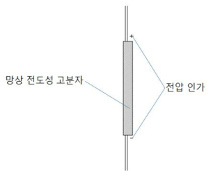 망상 전도성 고분자에 전압 인가