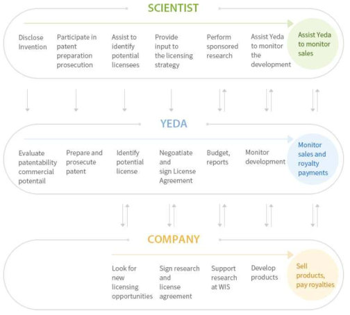 YEDA의 기술이전 및 상용화 프로세스