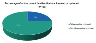활성화되고 라이센스 또는 옵션이 있는 특허 비율