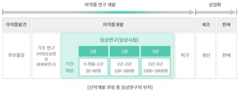 신약개발 과정 중 임상연구의 기간