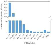 Bukit Teraja 지역 흉고직경별 임목 본수 분포도