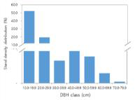 Lumut 지역의 흉고직경별 임목 분포도