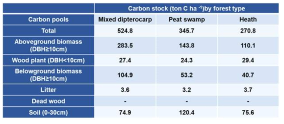 브루나이 주요 3개 산림유형의 ha 당 탄소저장량