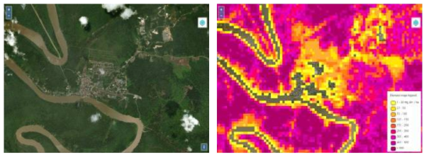 Geo-wiki의 GlobBiomass