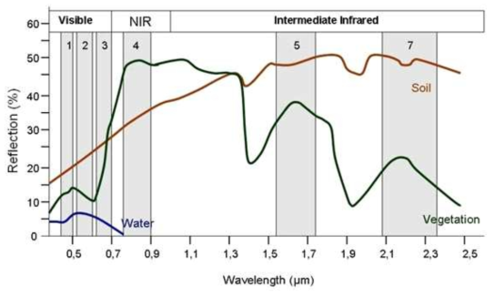 식생, 토양, 물의 분광 반사곡선