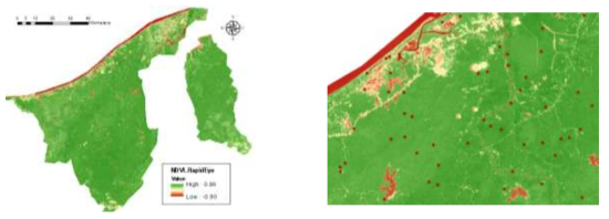 RapidEye NDVI(좌) 및 정확도 평가 포인트 속성 검증(우)