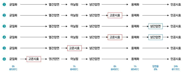 고강도 Al-Mg-Si계 개발합금의 공정조건