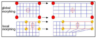 Overview of Global and Local Morphing
