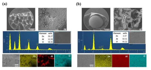 (a) 45 PPI 다공성 알루미나 기판과 (b) 알루미나 입자 위에 sol-gel dip-coating법으로 제작된 ZnO 항균코팅층