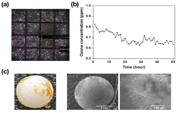 (a) ZnO-coated ZrO2 beads가 충진된 DFD 모듈의 (a) 플라즈마 발생 사진과 (b) 오존 생성 농도. (c) 50시간 방전 테스트 거친 ZnO-coated ZrO2 bead의 사진 및 SEM 이미지