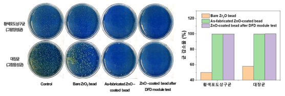 50 시간의 장시간 DFD 모듈 테스트 전후의 항균력