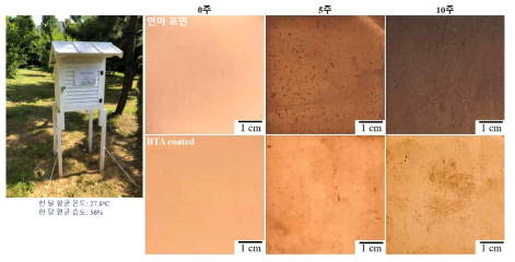연마된 표면과 BTA가 도포된 인탈산동의 대기노출시 표면변화
