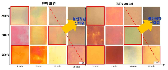 연마된 표면과 BTA가 도포된 인탈산동의 대기 고온산화 표면