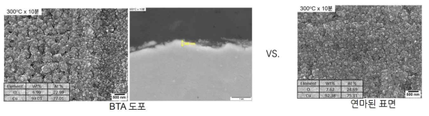 BTA 도포된 표면과 연마표면의 대기 고온산화시 산화막 형상