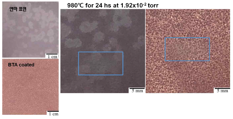 9.6 x 10-2 torr, 980℃, 24시간 산화시킨 연마 및 BTA가 도포된 인탈산동 그리고 500g의 하중에서 500회 지우개 테스트 결과