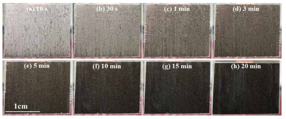 In-situ observation of AZ91 Mg alloy surface during immersion with immersion time in 1 M HF solution at 25 ± 1 ℃