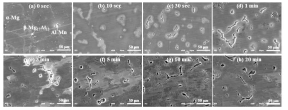 SEM images of the AZ91 Mg alloy surface with immersion time in 1 M HF solution at 25 ± 1 ℃