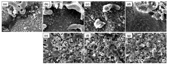 PEO films formed for 2 min in 0.1 M NaOH + 0.4 M Na2SiO3 solution on (a) bare and (b~g) pre-treated AZ91 Mg alloy. The pre-treatment was performed for 10 min in 0.5 M oxalic acid solution containing various ammonium fluoride (NH4F) concentrations of (b) 0, (c) 0.1 M, (d) 0.2 M, (e) 0.3 M, (f) 0.5 M and (g) 1 M