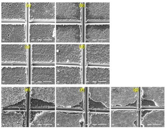 SEM surface images of AZ31 Mg alloy after anodic oxidation for 2 min at 50 mA/cm2 in aqueous solutions containing various NaF concentrations of (a) 0.01 M, (b) 0.02 M, (c) 0.05 M, (d) 0.1 M, (e) 0.2 M, (f) 0.5 M and (g) 1 M