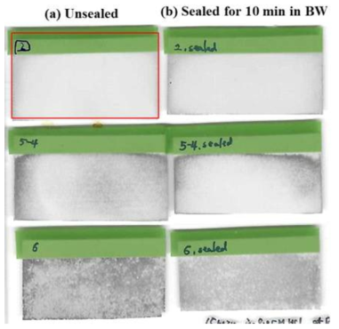 PEO-treated AZ31 Mg alloy after immersion for 15 min at RT in 0.05 M HCl solution. The PEO films were formed for 2 min in various solutions at 100 mA/cm2 of 1200 Hz pulse current