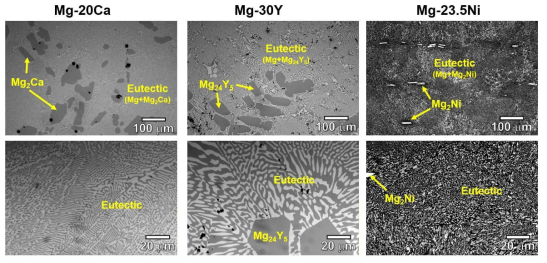 Mg-20Ca, Mg-30Y, Mg-23.5Ni 금속간화합물의 미세조직