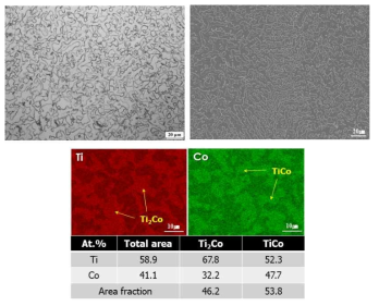 TiCo 금속간화합물의 조성 및 미세조직 관찰 결과