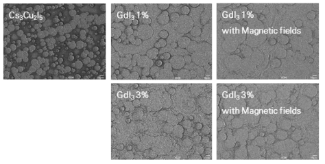 Gd의 도핑 및 자기장 처리 유무에 따른 Cs3Cu2I5 박막의 SEM 이미지