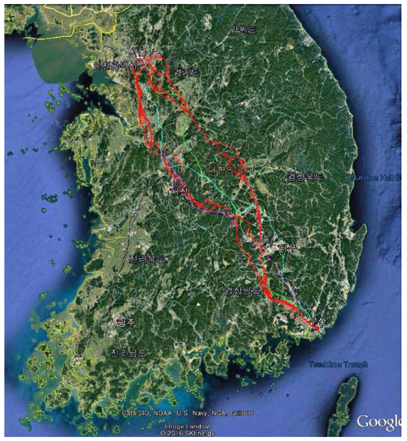 서울 - 부산간 노선탐색