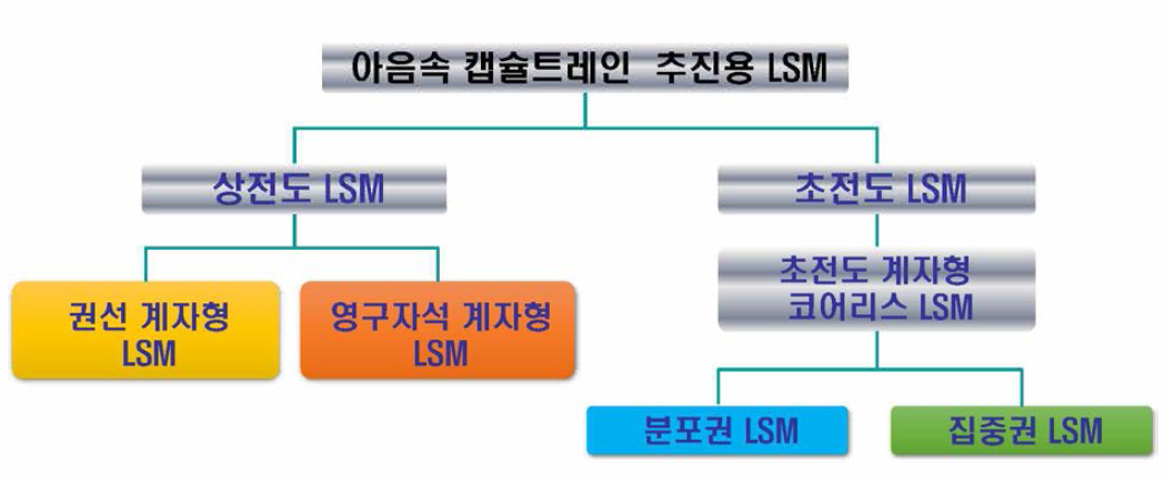 아음속 캡슐트레인 추진용 LSM 검토 모델