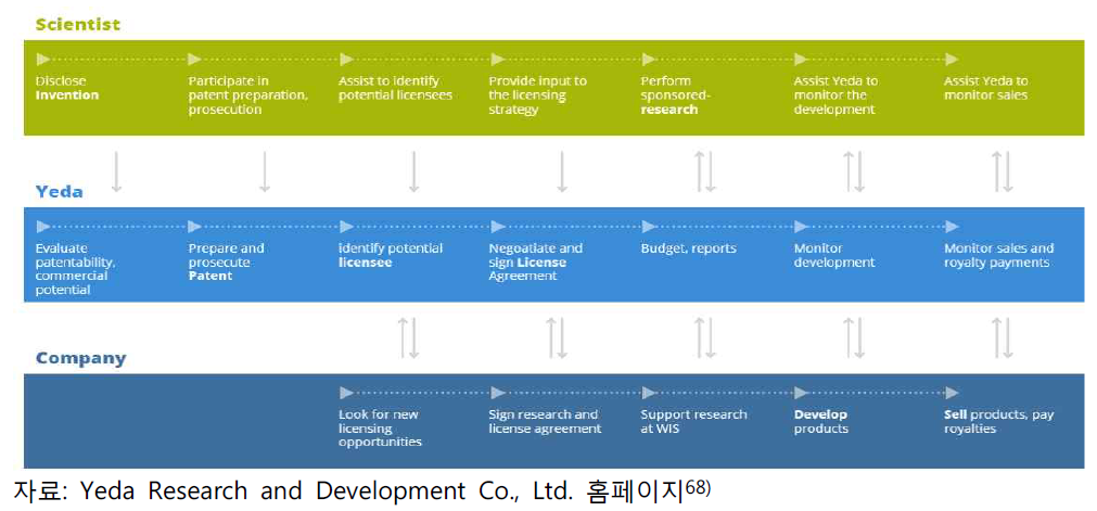 Yeda Research and Development Co., Ltd를 통한 기술이전 프로세스