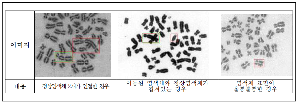 다양한 형태로 존재하는 염색체 예시