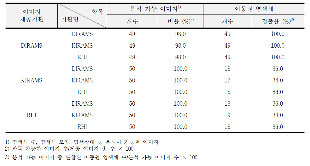 이동원염색체 이미지의 분석결과