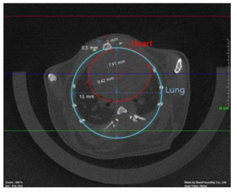 실험용 마우스 CT 이미지