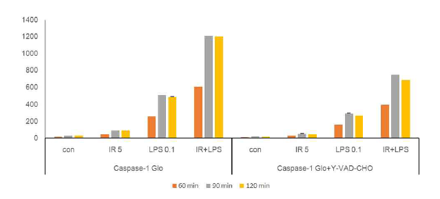 대식세포에서 방사선 조사에 의한 caspase-1의 activity 증가