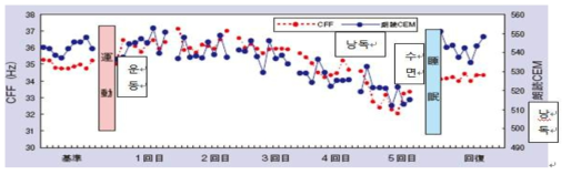 CFF와 낭독 CEM의 경시 변화（철도 총연 보고, 2007년 5월 ）