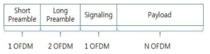 WLAN 전송 프레임 구조