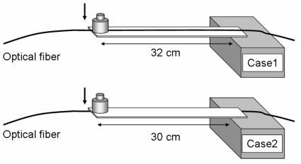 BOCDA 시스템을 이용한 변형률 분포 측정용 cantilever 시료